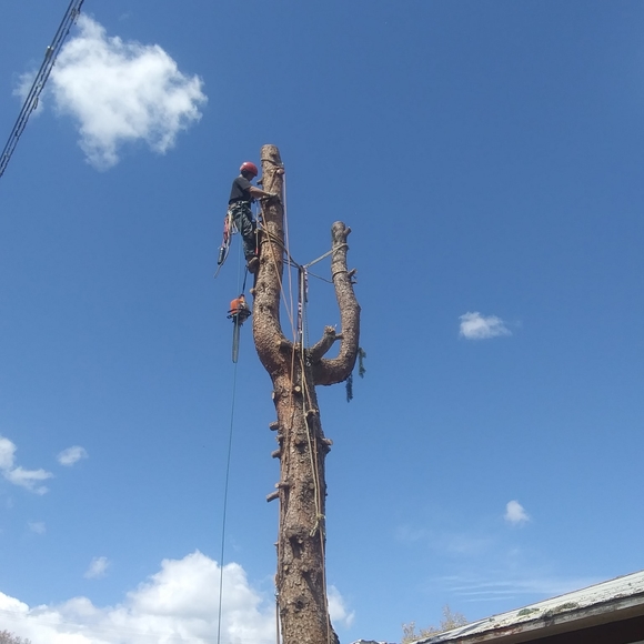 Meet your Posher, Larry - Picture 1 of 1